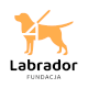 Logo Fundacji Labrador