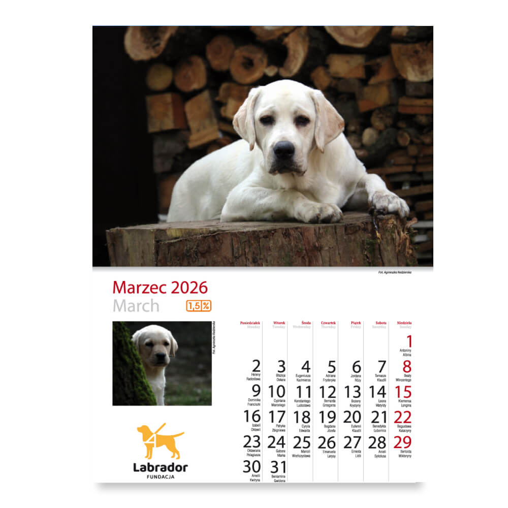 Kalendarz Fundacji Labrador 2026 - obrazek 5