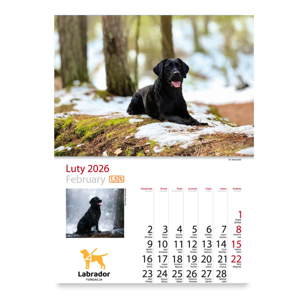 Kalendarz Fundacji Labrador 2026 - obrazek 4