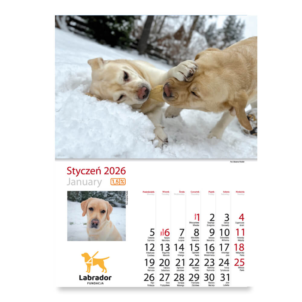 Kalendarz Fundacji Labrador 2026 - obrazek 3