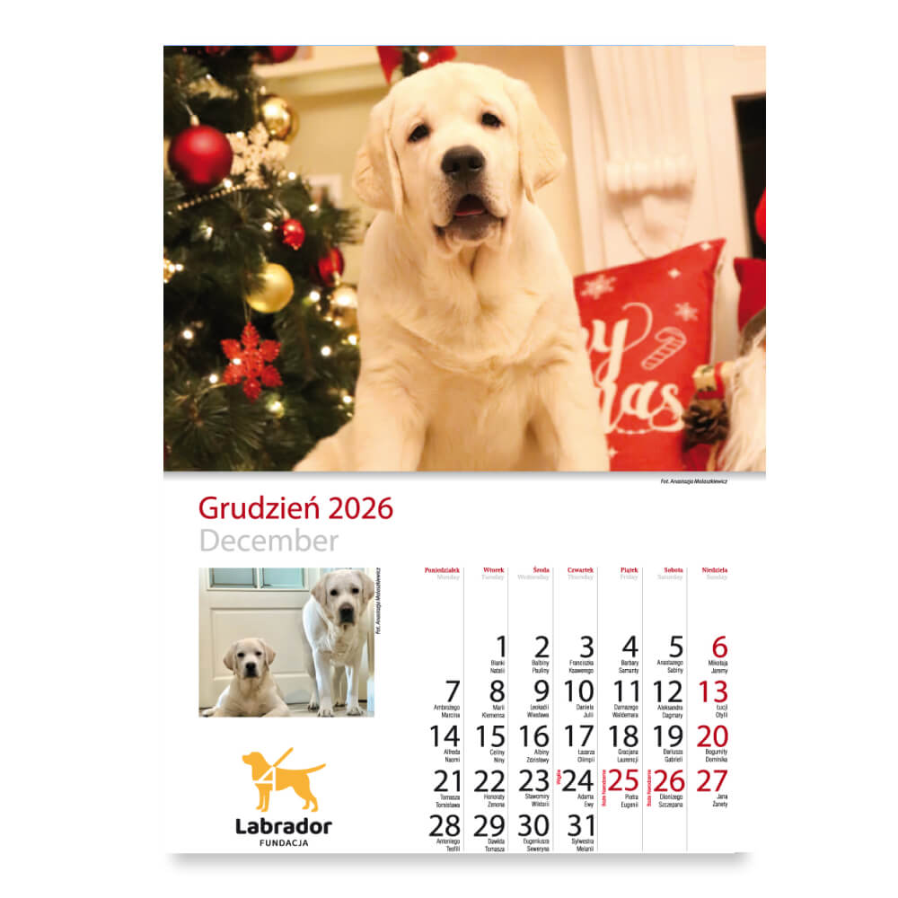 Kalendarz Fundacji Labrador 2026 - obrazek 14