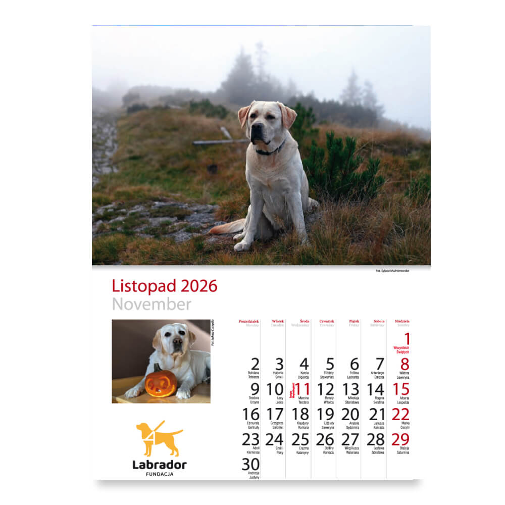Kalendarz Fundacji Labrador 2026 - obrazek 13