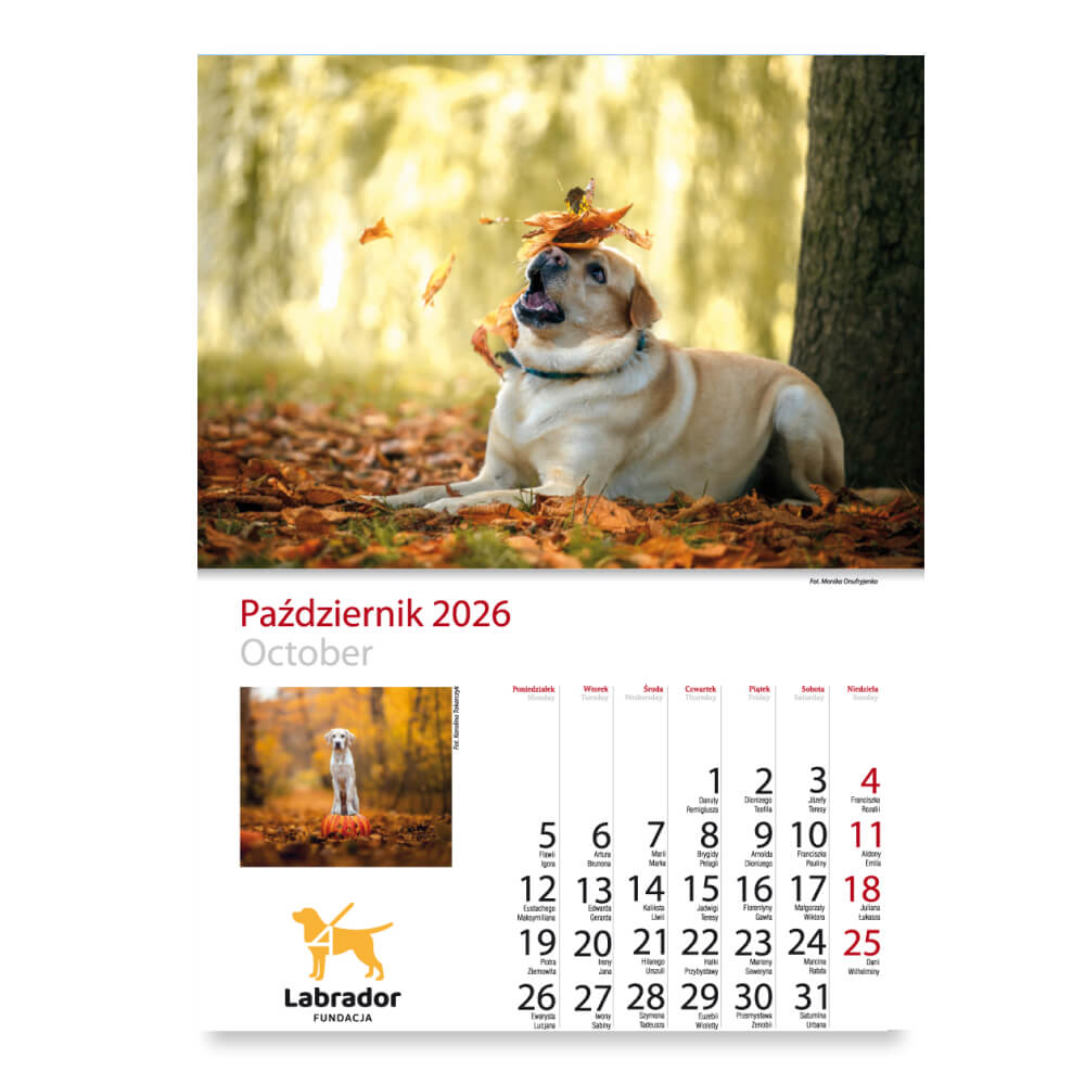 Kalendarz Fundacji Labrador 2026 - obrazek 12