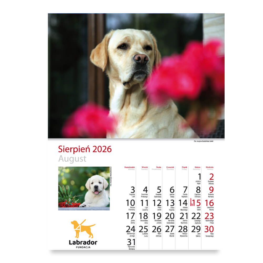 Kalendarz Fundacji Labrador 2026 - obrazek 10