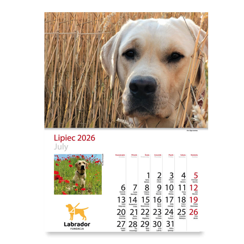 Kalendarz Fundacji Labrador 2026 - obrazek 9