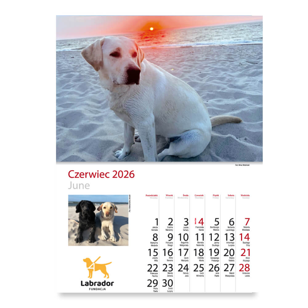 Kalendarz Fundacji Labrador 2026 - obrazek 8