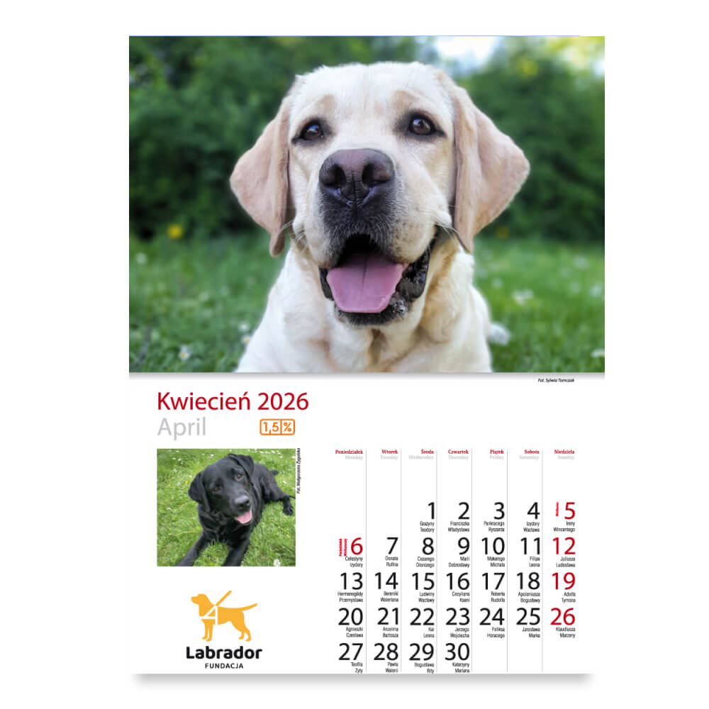Kalendarz Fundacji Labrador 2026 - obrazek 6