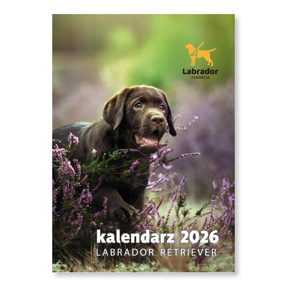 Kalendarz z Labradorem 2026 Okładka